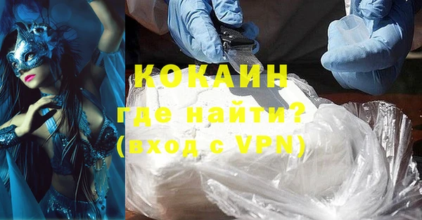 мяу мяу мука Белокуриха