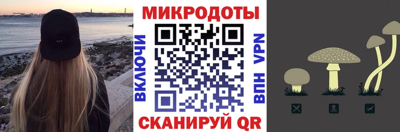 Псилоцибиновые грибы Psilocybe  Маркс 